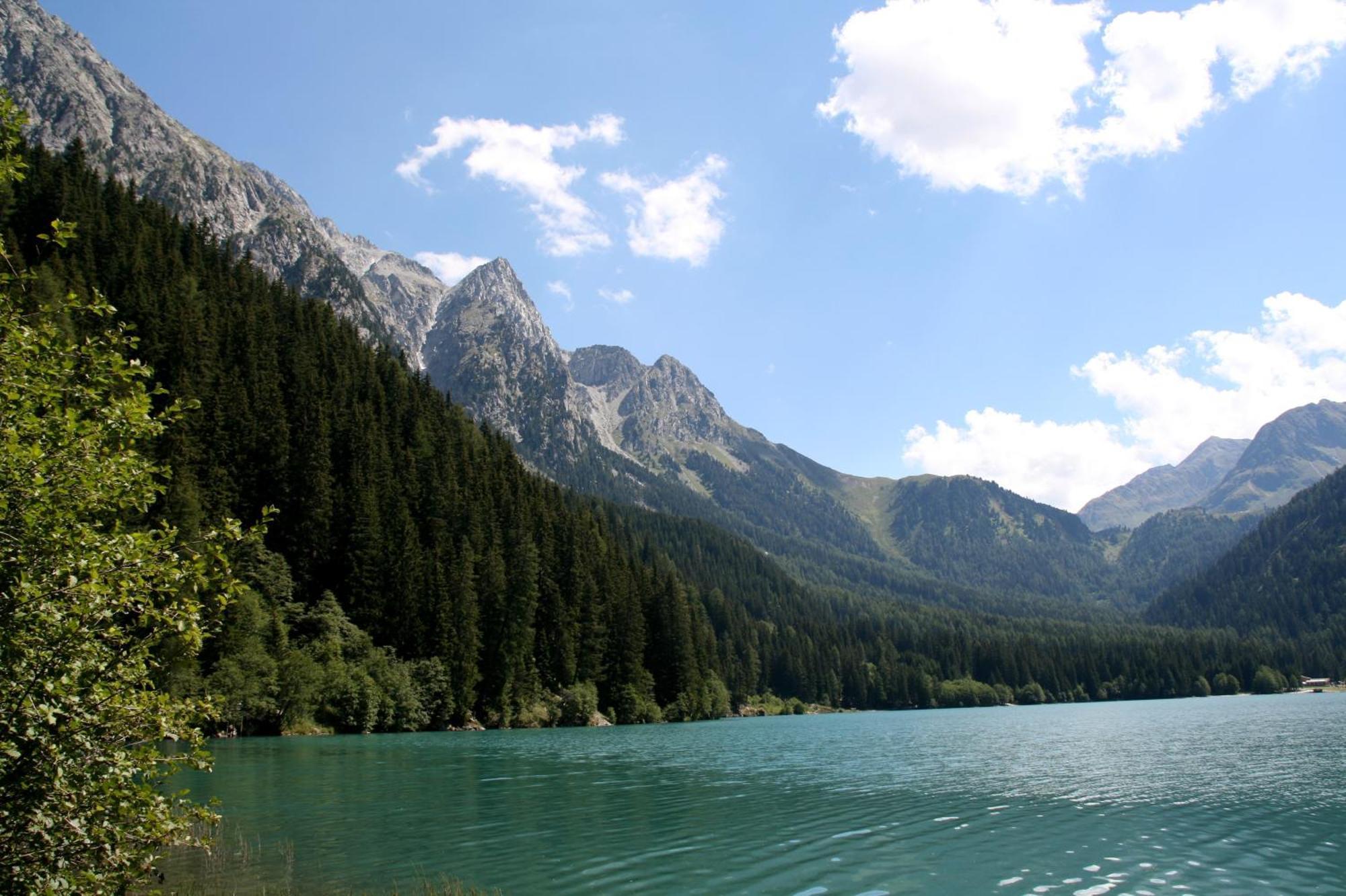 Garni Renzler Bed & Breakfast Rasun di Sopra Exterior photo